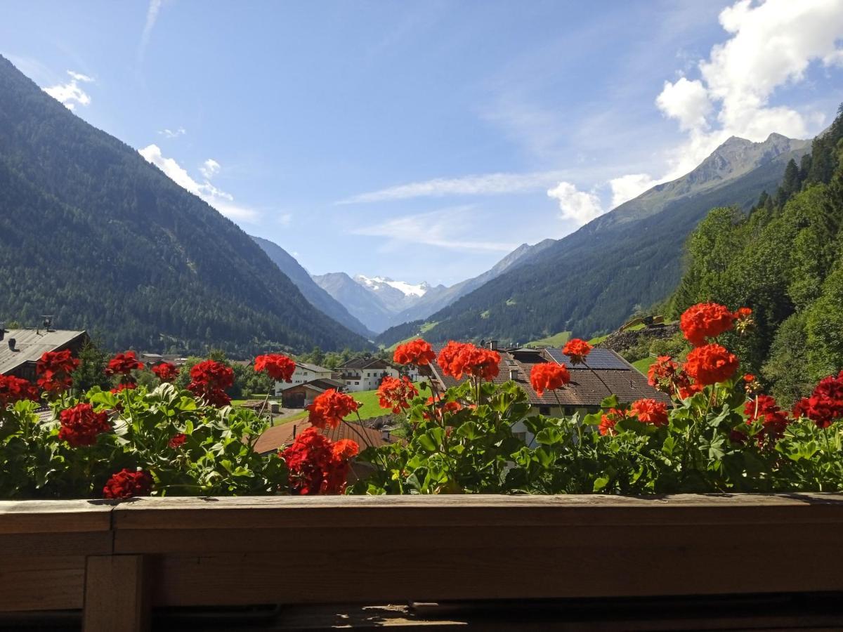 Apartment Fernerblick Neustift im Stubaital Buitenkant foto